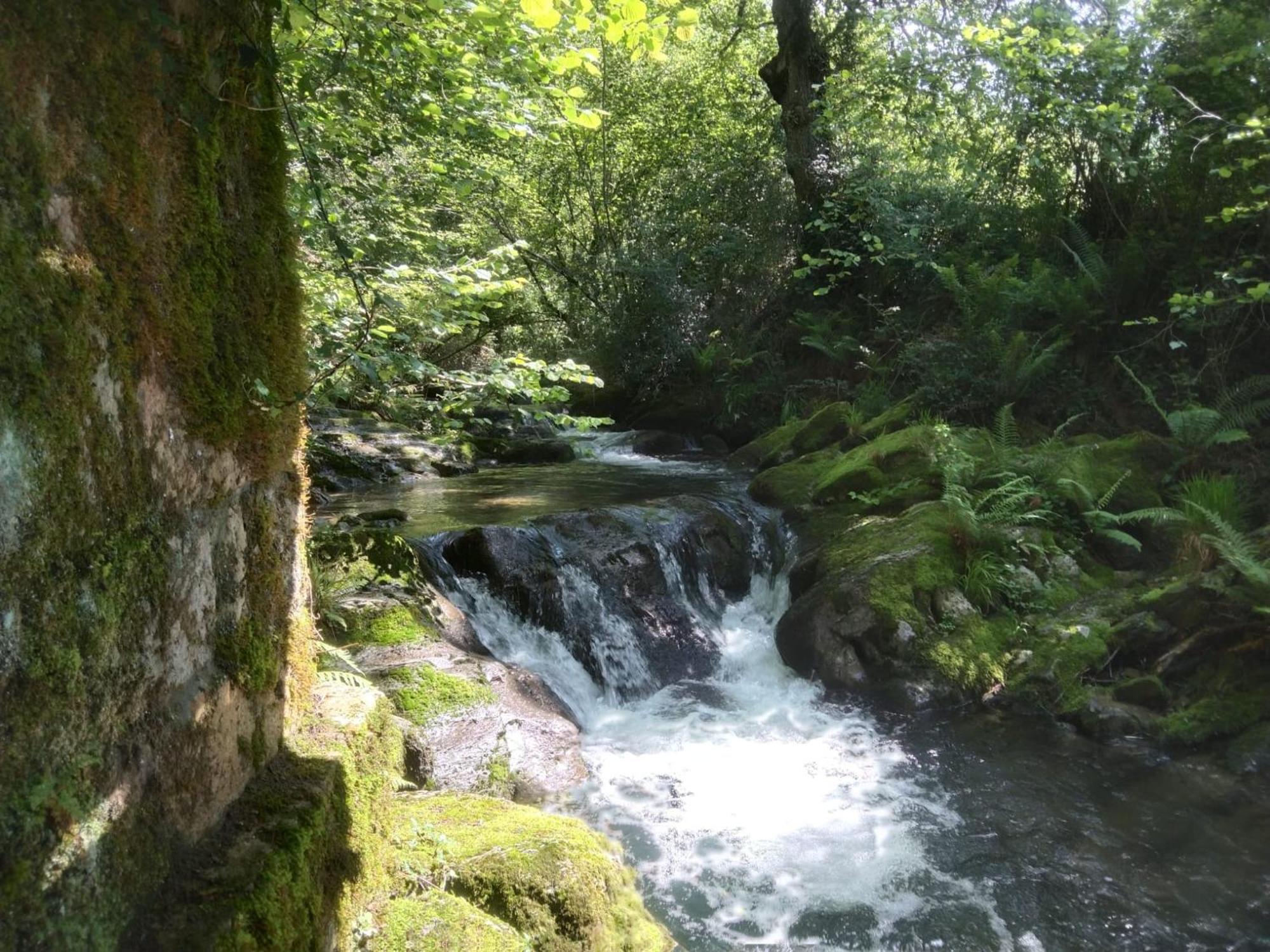 Casa Rural Los Riveros De Jeromo Selaya Εξωτερικό φωτογραφία