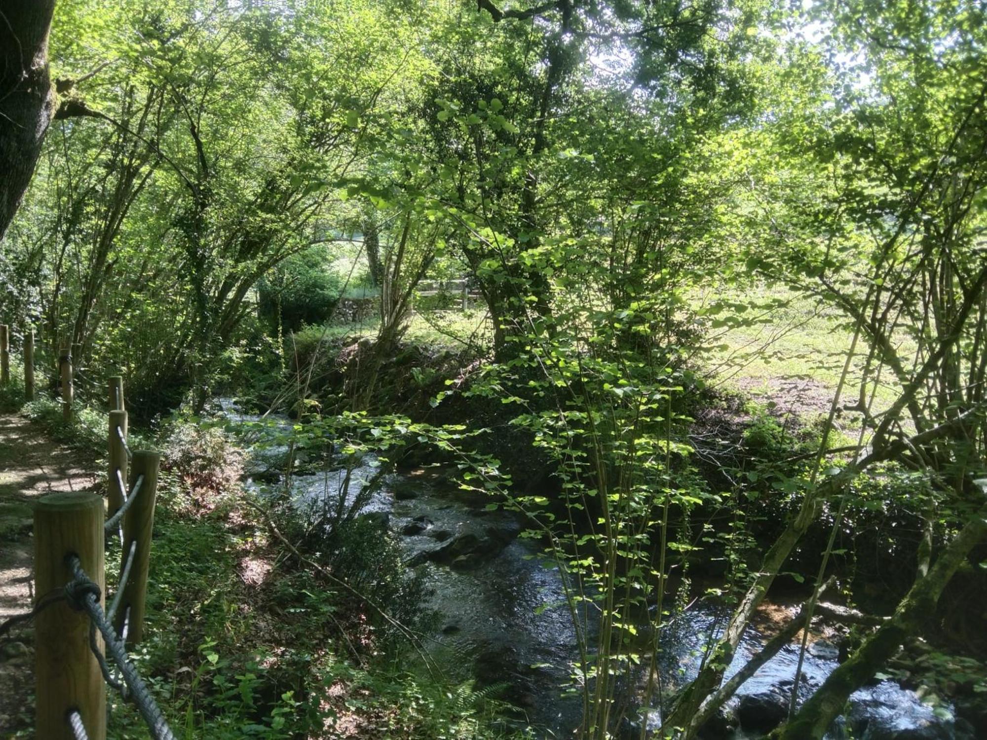 Casa Rural Los Riveros De Jeromo Selaya Εξωτερικό φωτογραφία